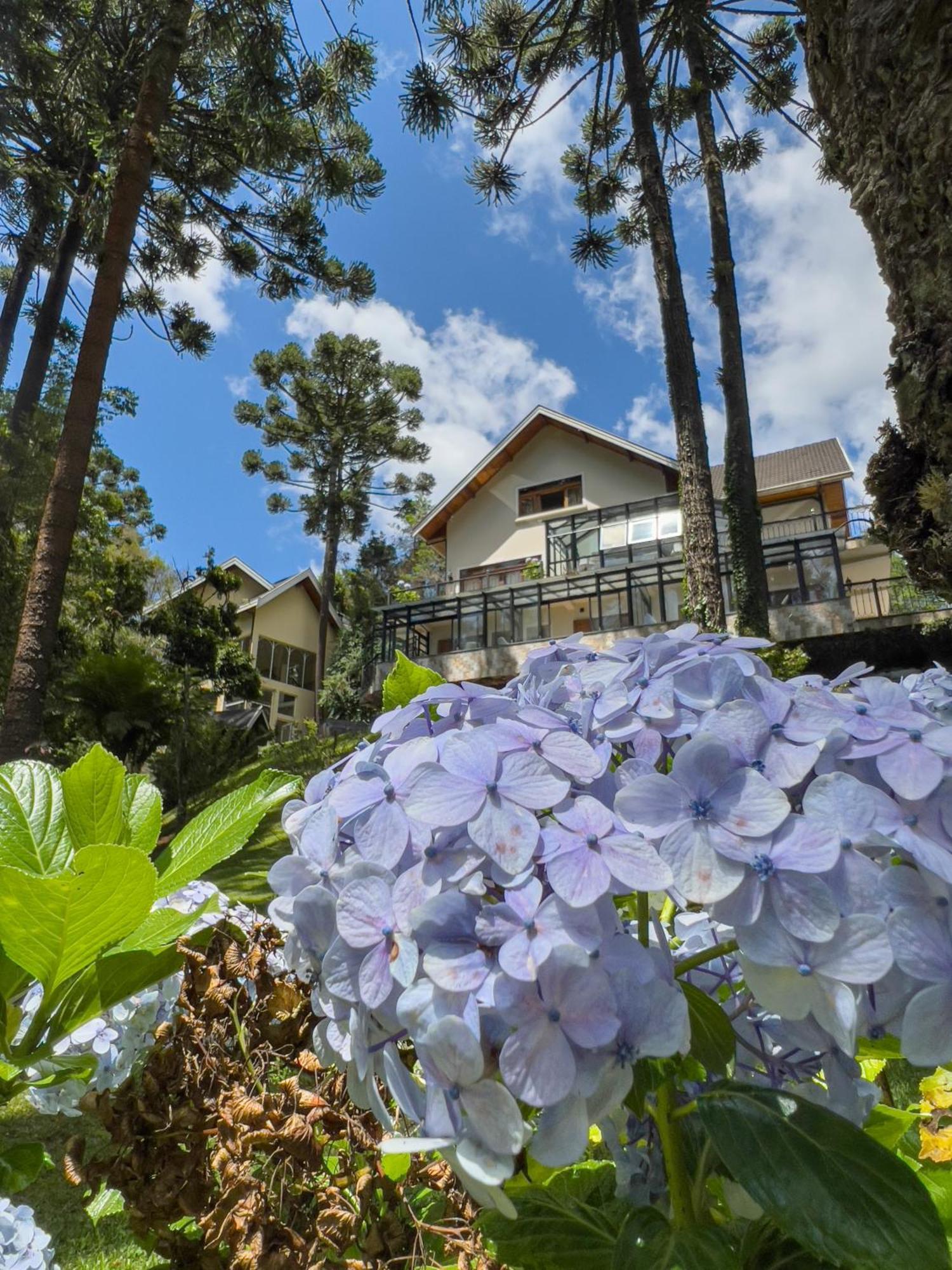 Araucaria Lodge Campos do Jordão Extérieur photo